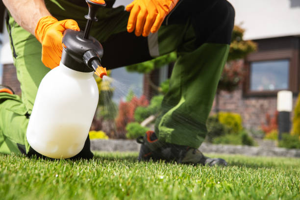 Professional Pest Control in Park Layne, OH