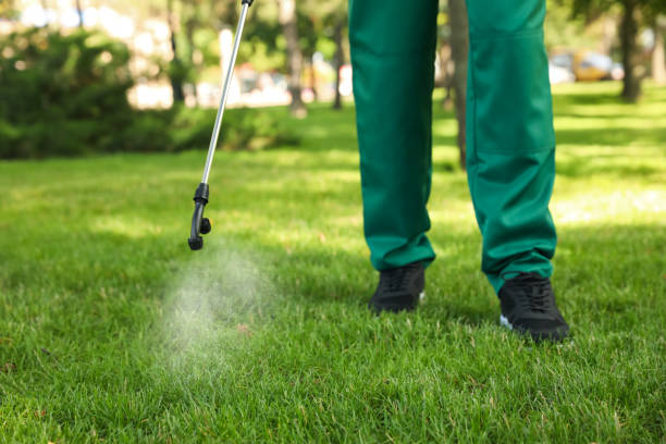 Reliable Park Layne, OH Pest Control Solutions
